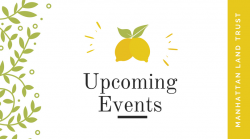 MLT upcoming-events
