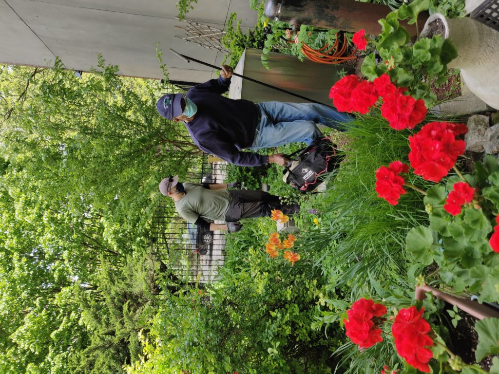 Gardeners working and socially distancing in parque de tranquilidad garden 