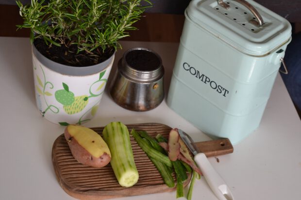 vegetables, herbs, and a compost bin in a kitchen